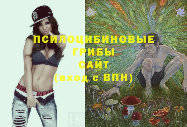 СК Нязепетровск