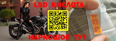 шишки Будённовск