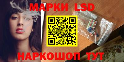 шишки Будённовск