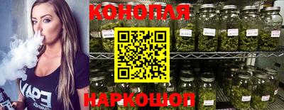 шишки Будённовск