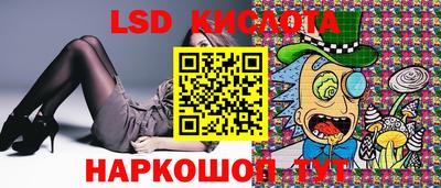 шишки Будённовск