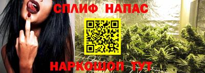 шишки Будённовск