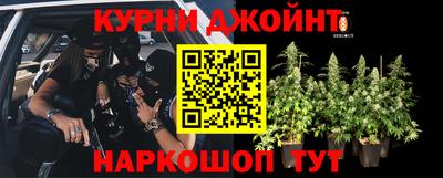 шишки Будённовск