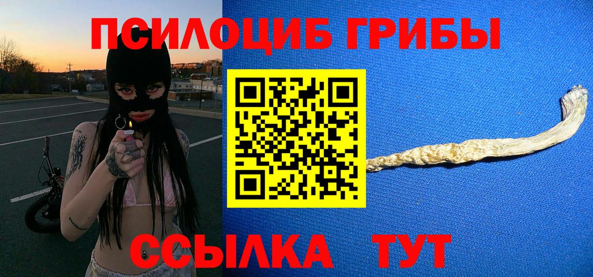 Конаково  Псилоцибиновые грибы Psilocybe  Псилоцибиновые грибы GOLDEN TEACHER  Вход с VPN 