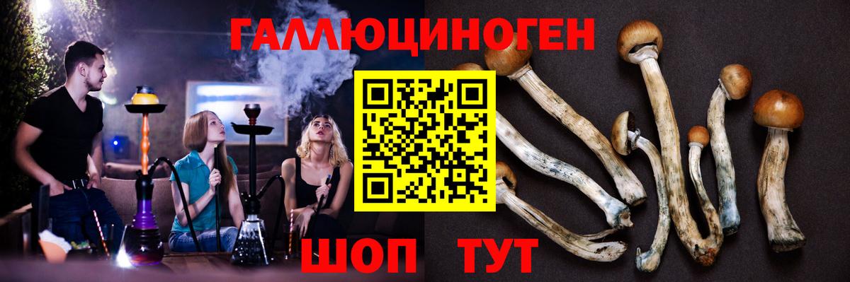 Галлюциногенные грибы мицелий Конаково